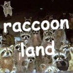 raccoon land